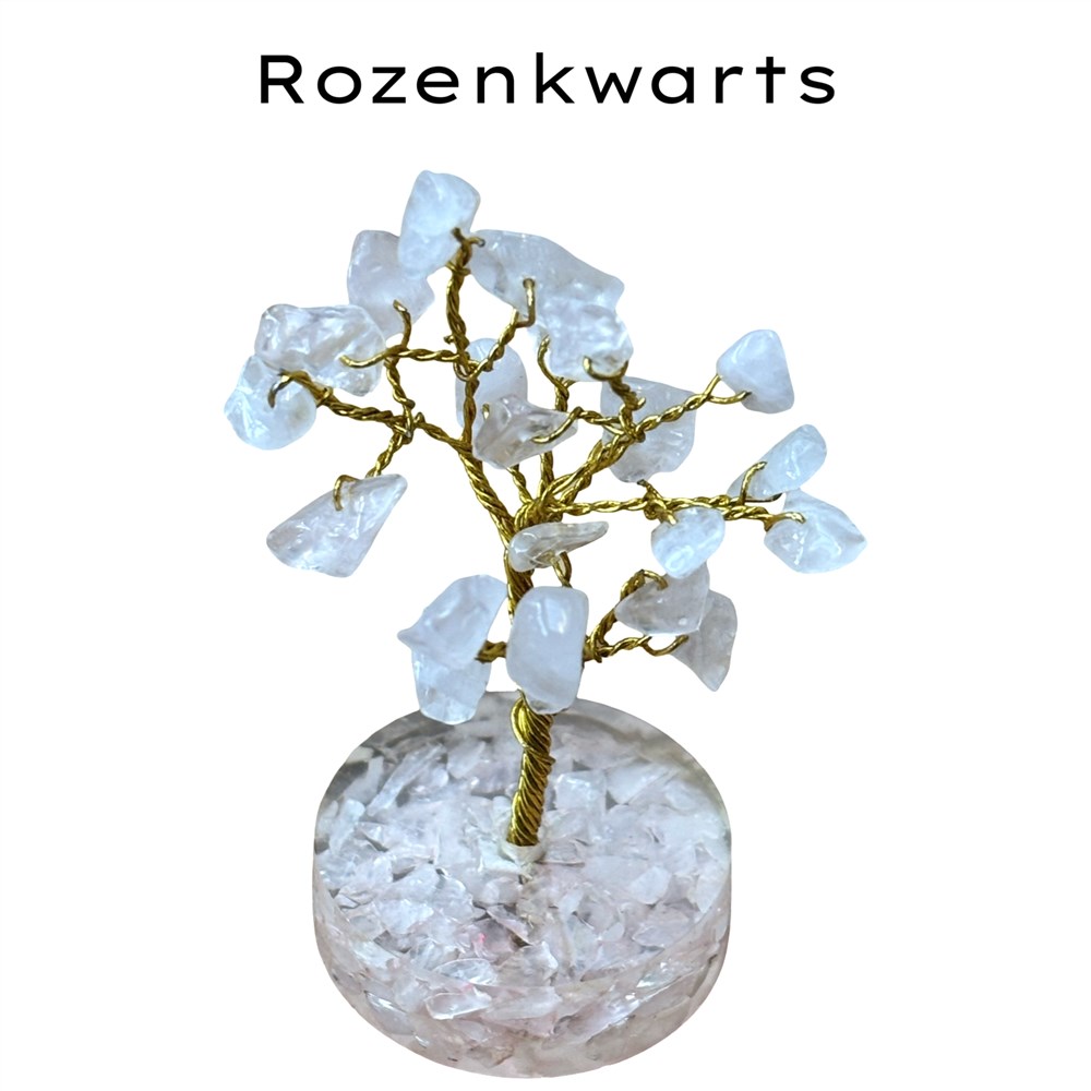 Rozenkwarts boompje